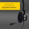 Гарнитура Jabra BIZ 2300 Duo, USB-C, MS