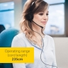 Гарнитура Jabra BIZ 2300 Duo, USB-C, MS